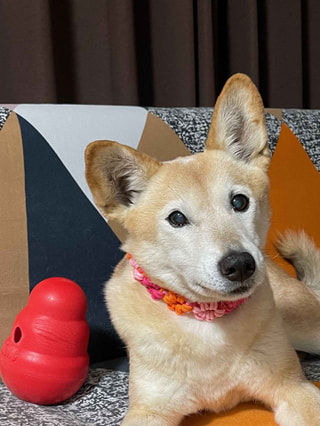 タカズは大丈夫です