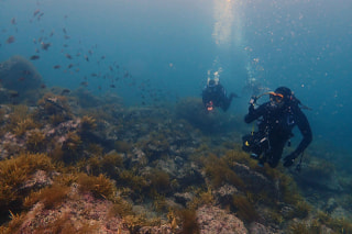 竜飛崎ダイブログ